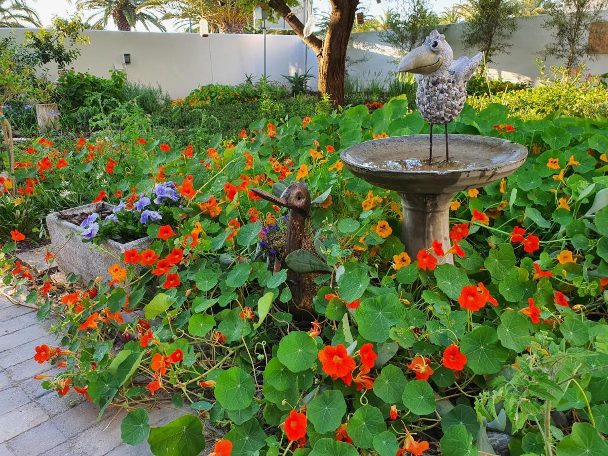 Albatross Guesthouse Langebaan Dış mekan fotoğraf